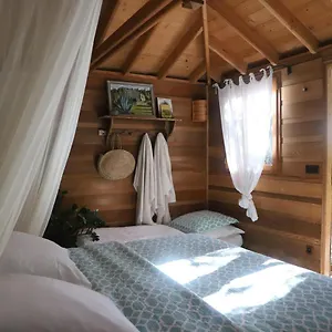 Orion Treehouses Bed & Breakfast