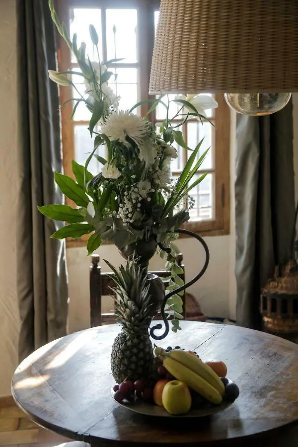La Maison Aux Bonsais Saint-Paul-de-Vence Guest house